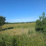 4 Person Holiday Home In Blavand * Блаванн