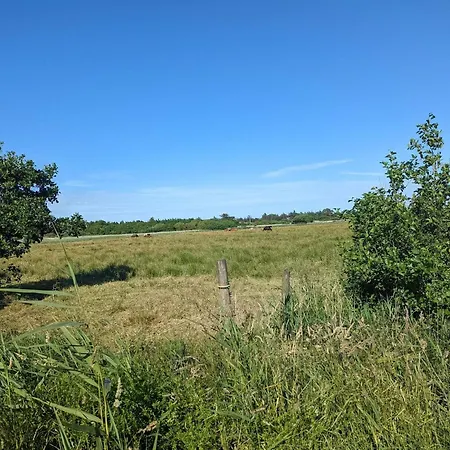 Secluded Family Retreat - By Traum * Blavand