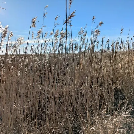 בית נופש Secluded Family Retreat - By Traum *